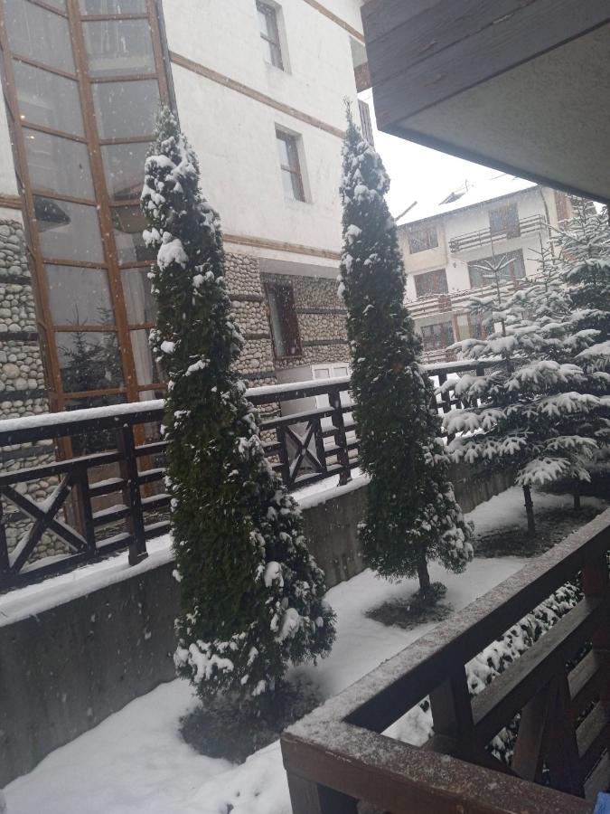 Mila Vip Apartment Bansko Extérieur photo